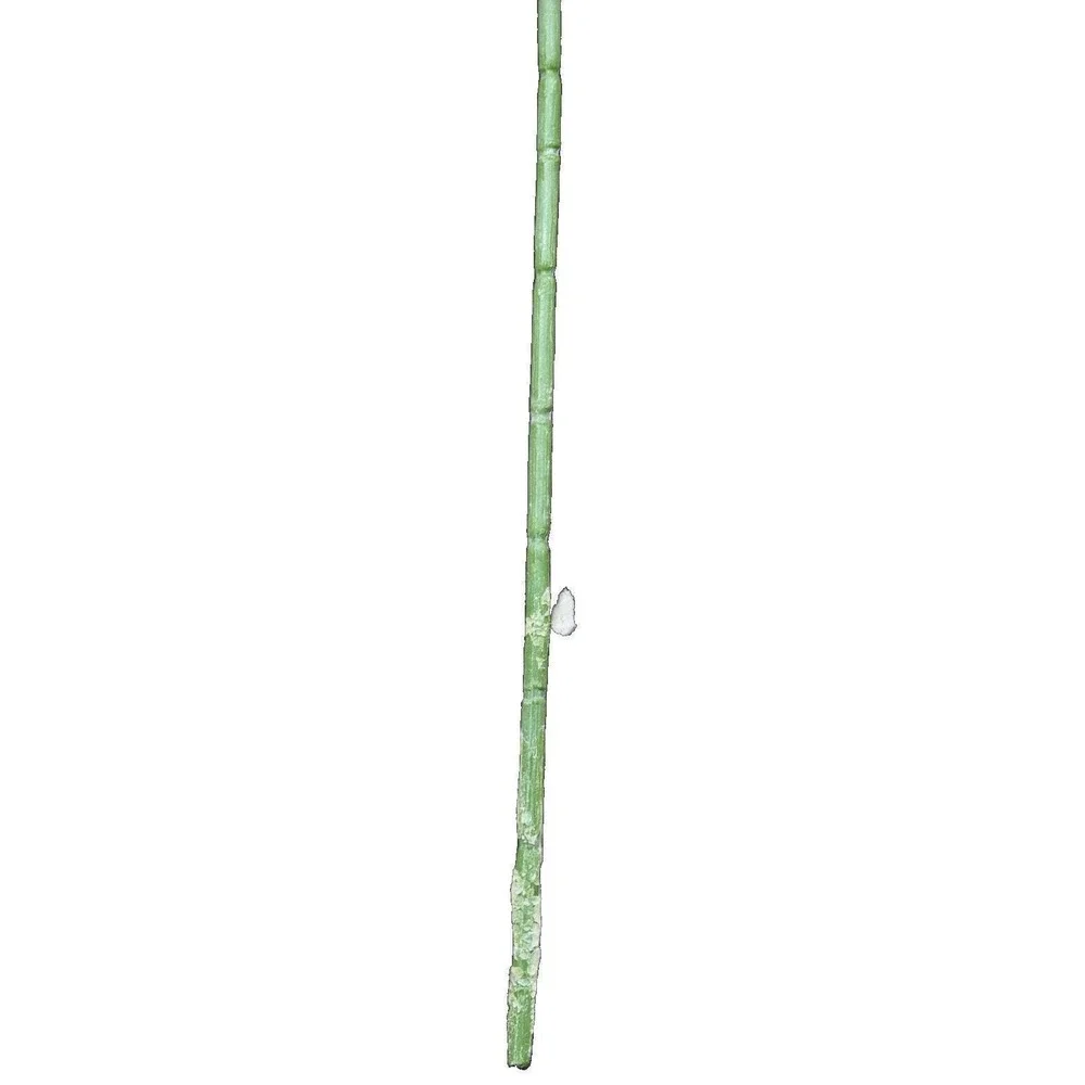 Artificial Hops Greenery Stem 16